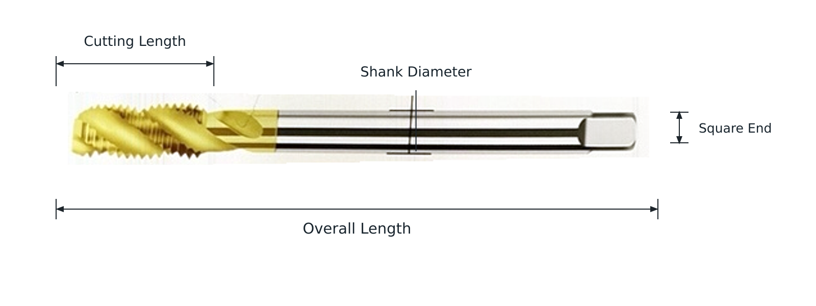 Macho de máquina HSS-Co de 100 mm — dimensiones identificadas de trabajo y sujeción