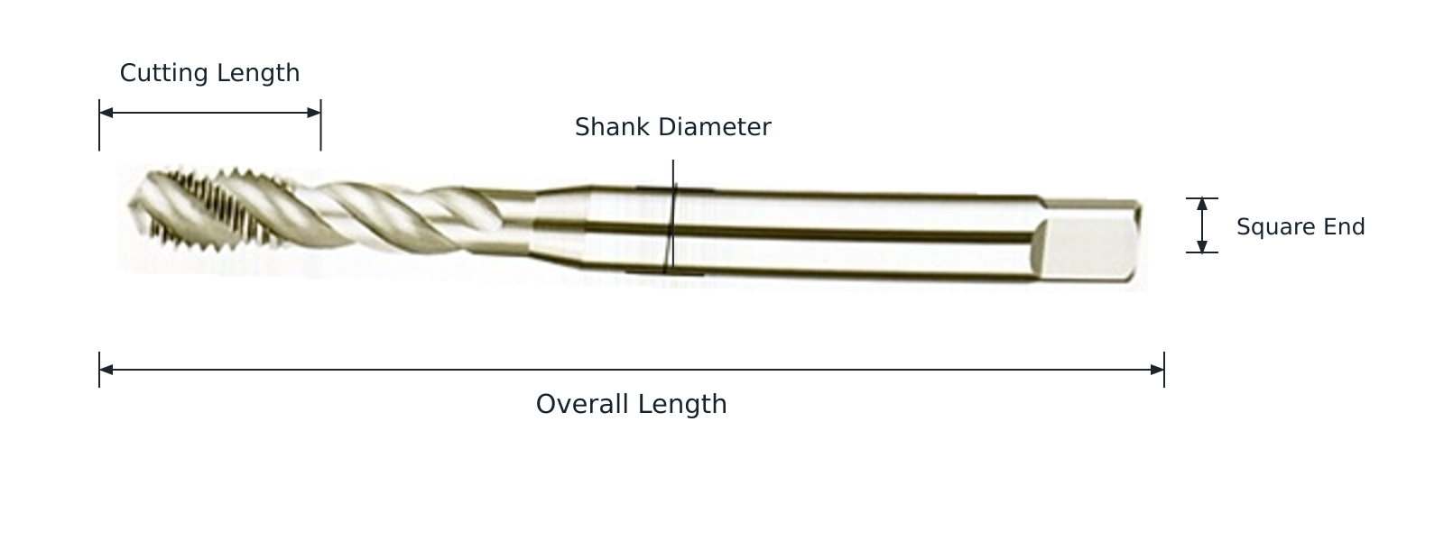 Macho helicoidal HSS DIN 371 — dimensiones identificadas de trabajo y sujeción